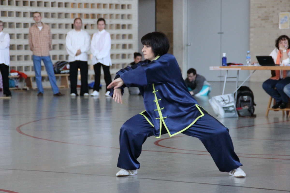 Campeonato Navarro de Wu-Shu